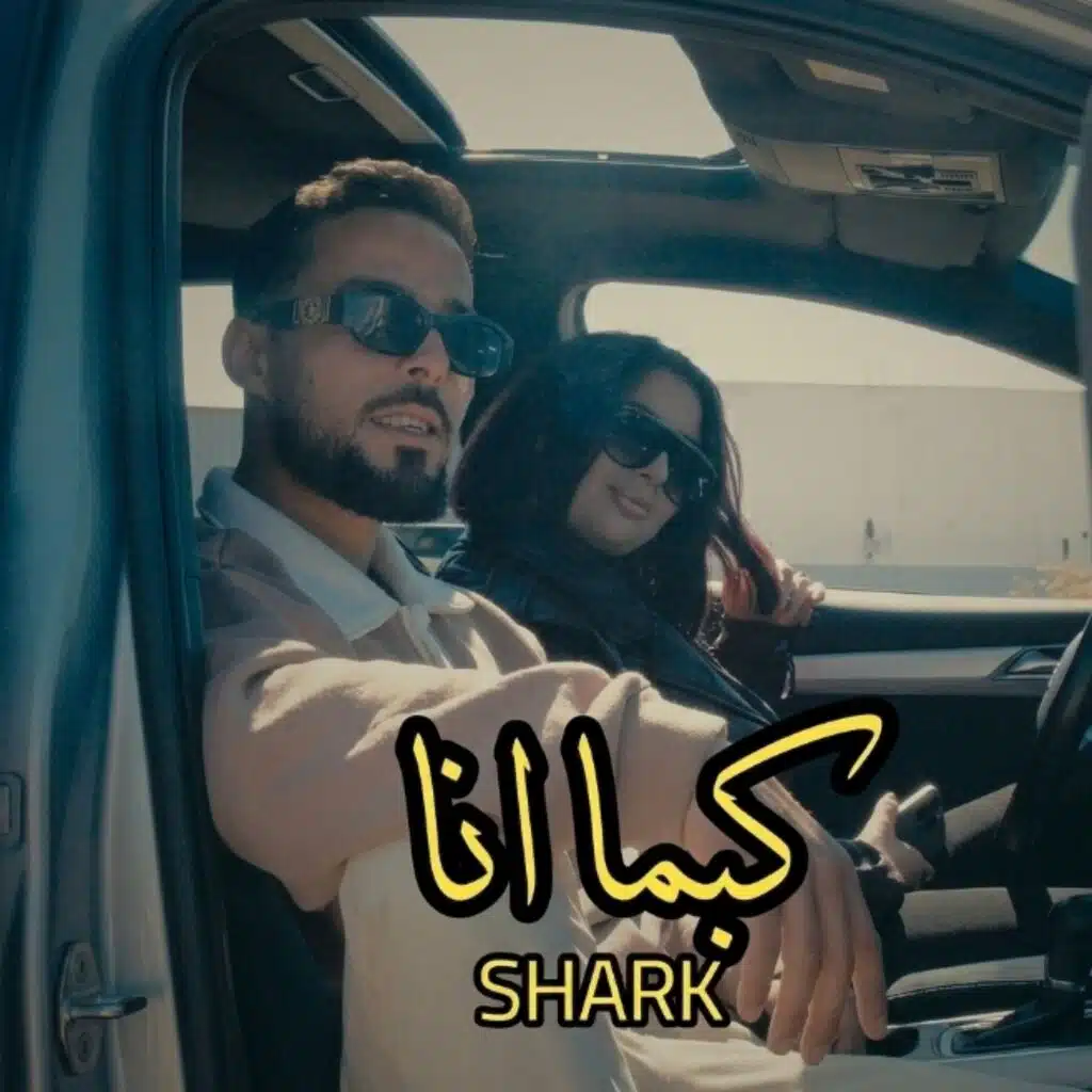 Shark officiel