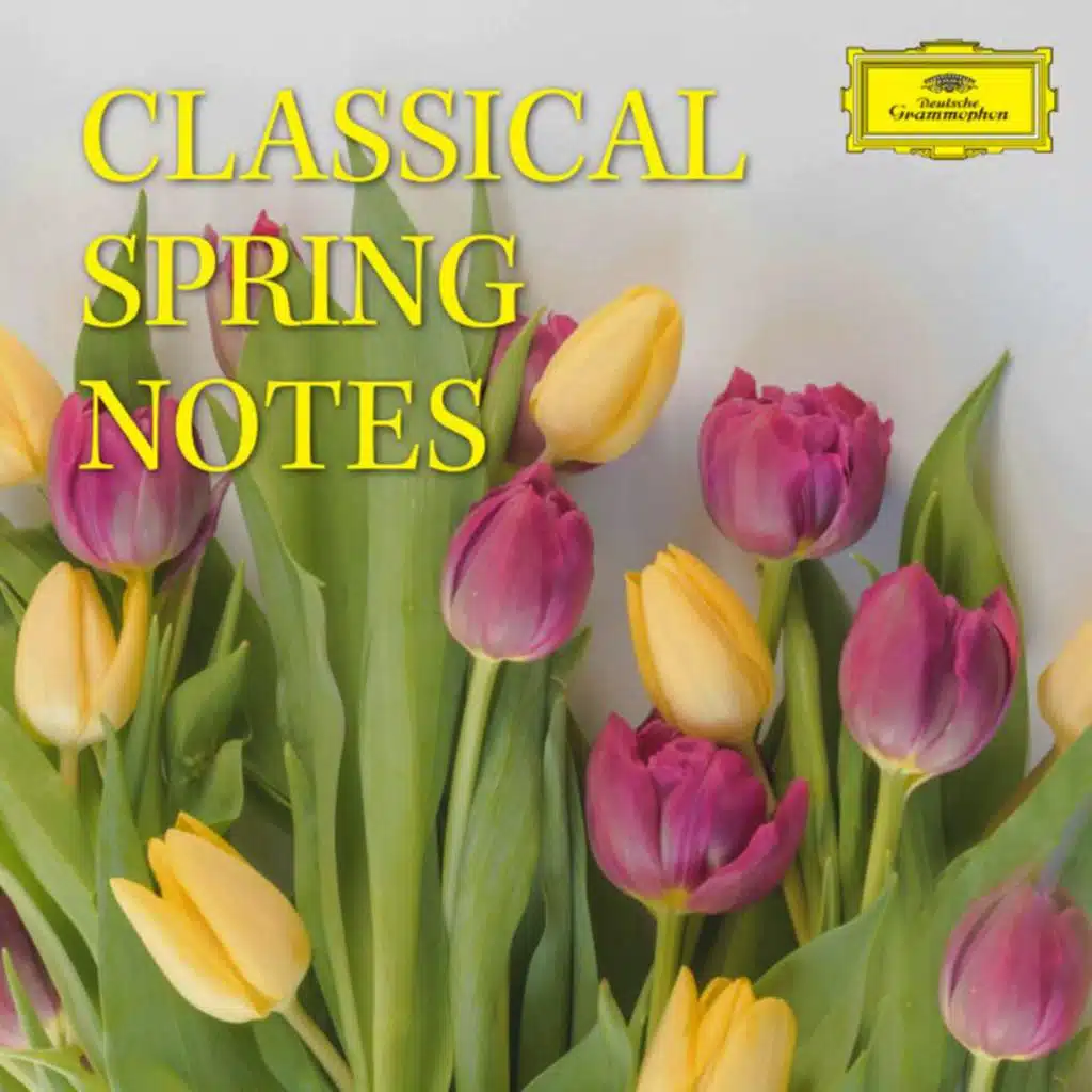 Vivaldi: The Four Seasons, Spring, Violin Concerto in E Major, Op. 8/1, RV 269: II. Largo e pianissimo sempre