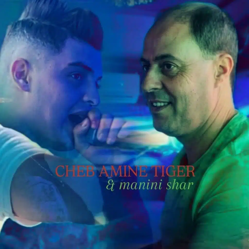 Cheb Amine tiger