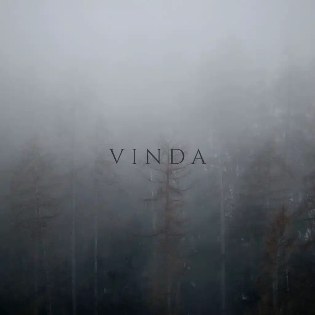 VInDA
