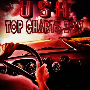USA Top Charts 2017