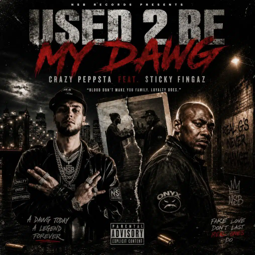 Used 2 Be My Dawg (feat. Sticky Fingaz)