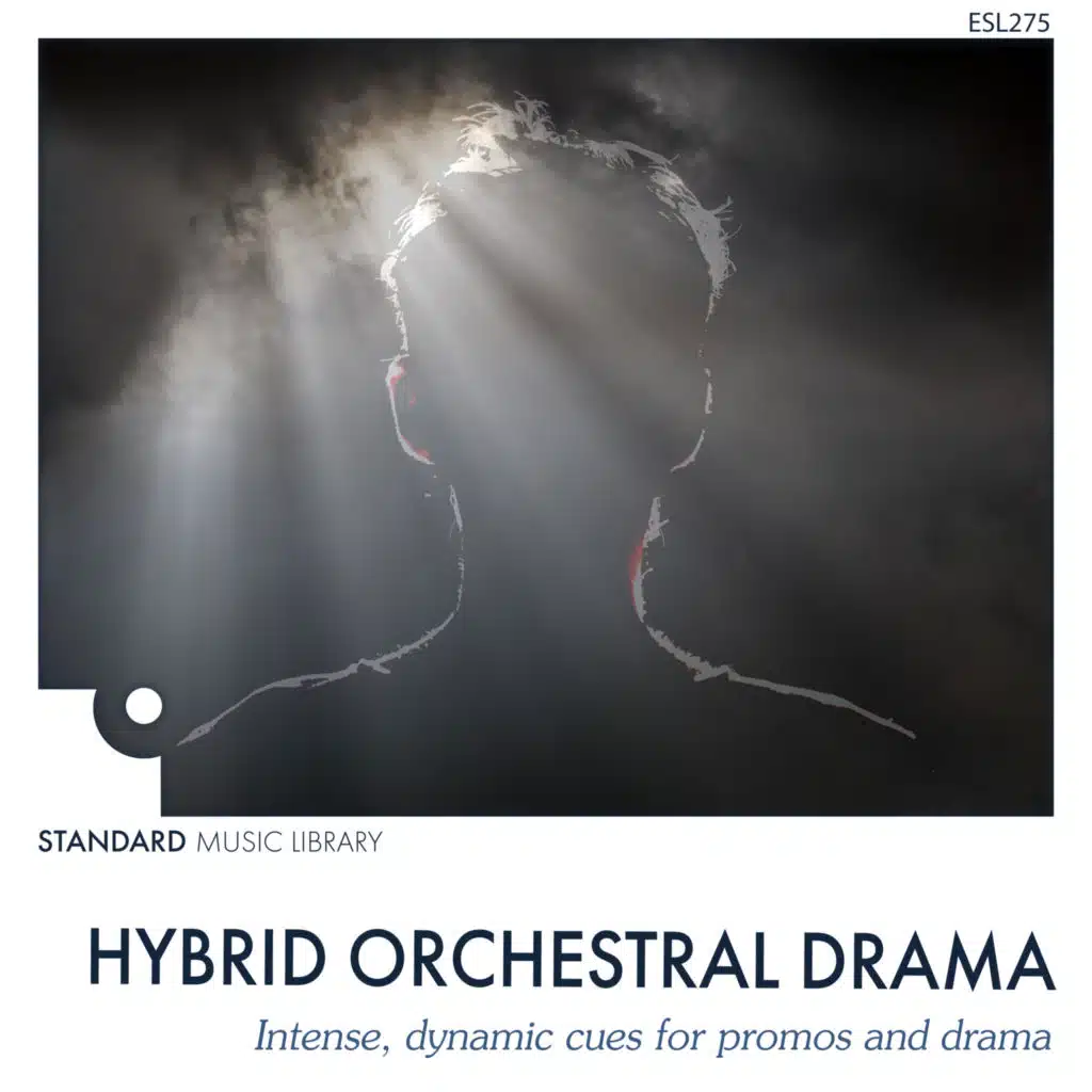 Standard Music Library