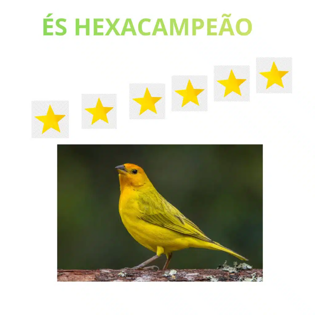 ÉS HEXACAMPEÃO (feat. XAYNÃ)