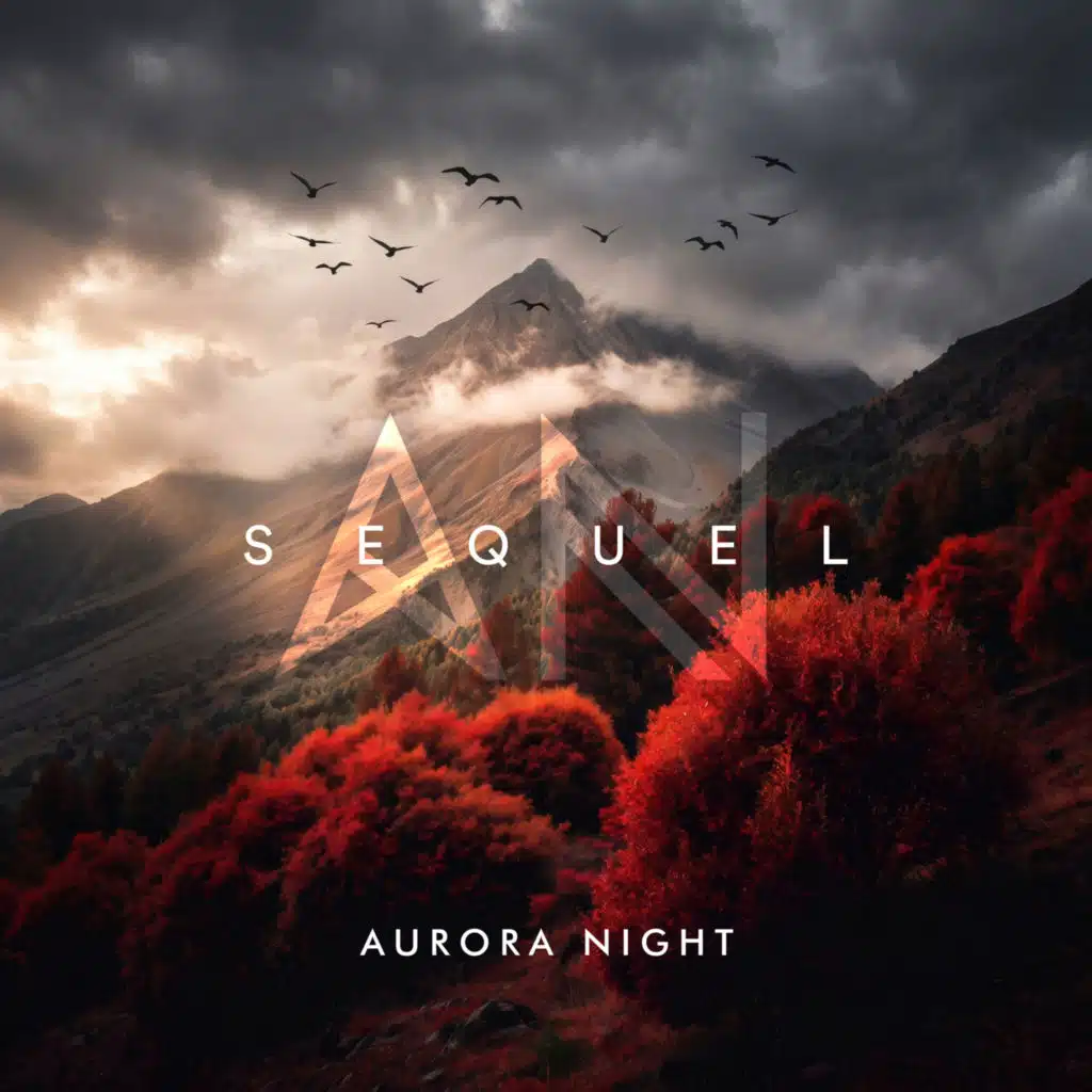 Aurora Night