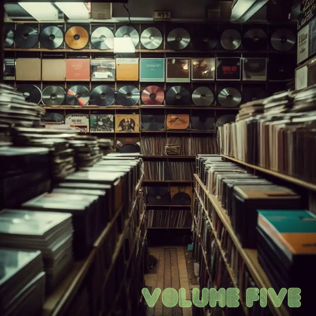 Crate Diggers, Vol. 5: Stone Cold Rare Beats & Vinyl Oddities 1965-1978 (Edited Version)