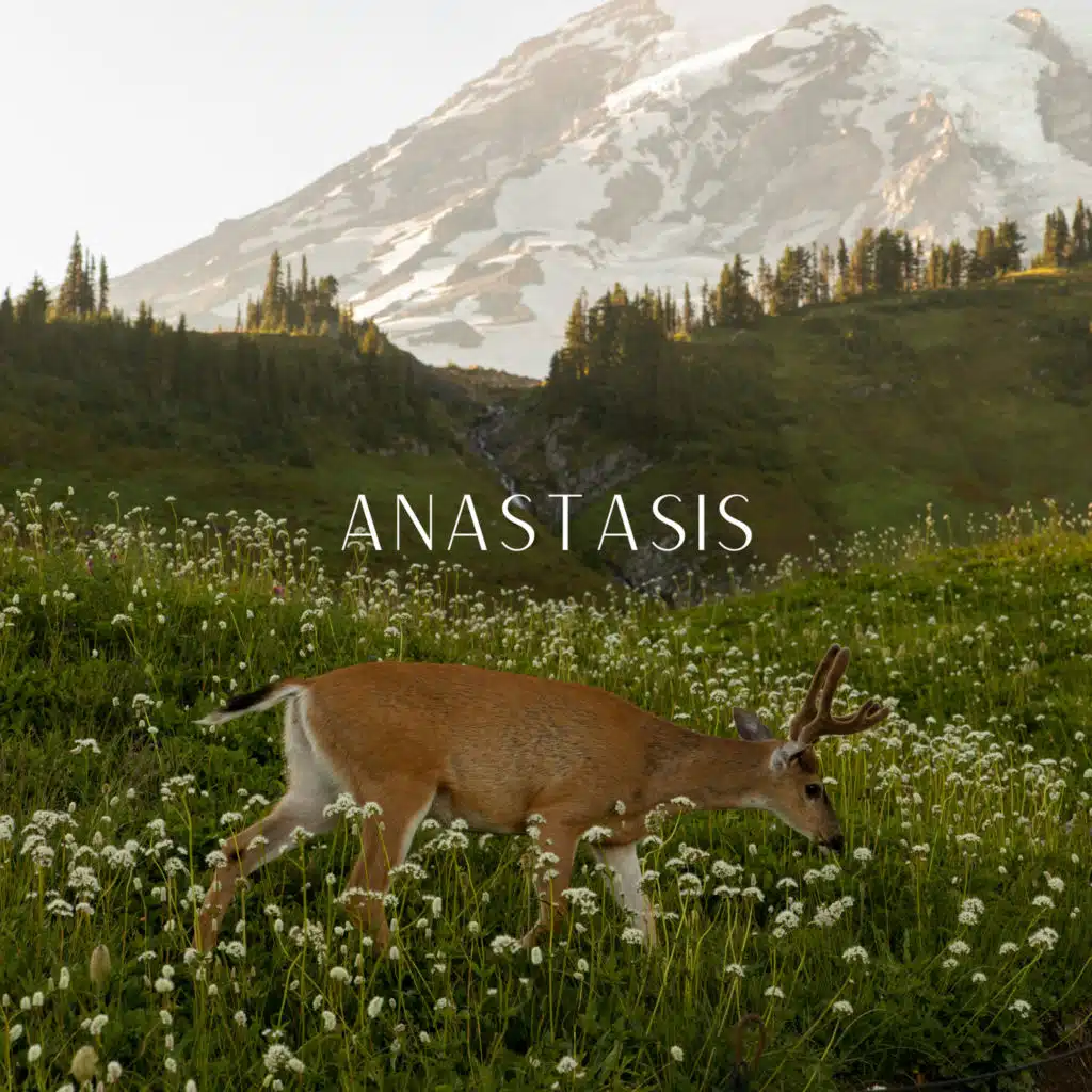 Anástasis