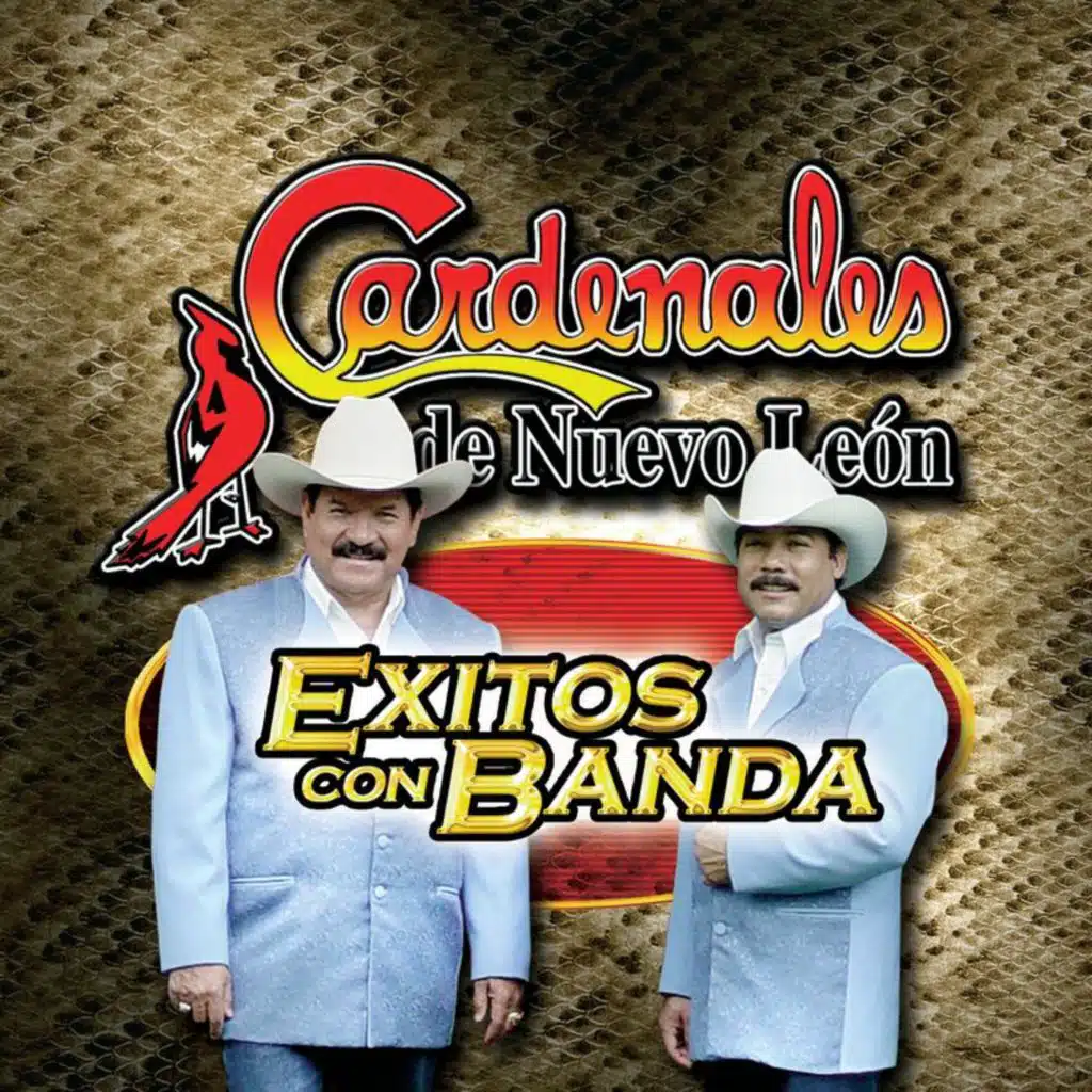 Cardenales De Nuevo León