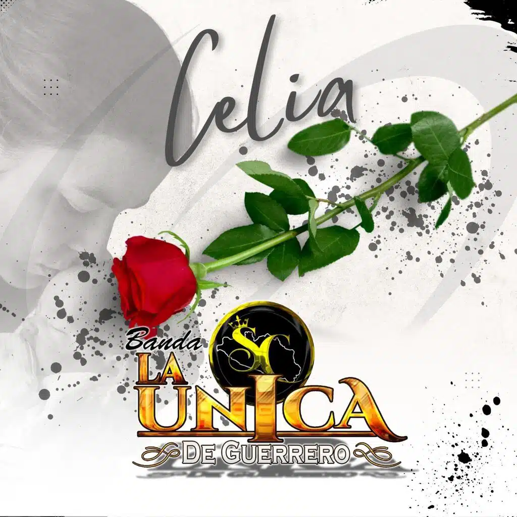 La unica de guerrero SC