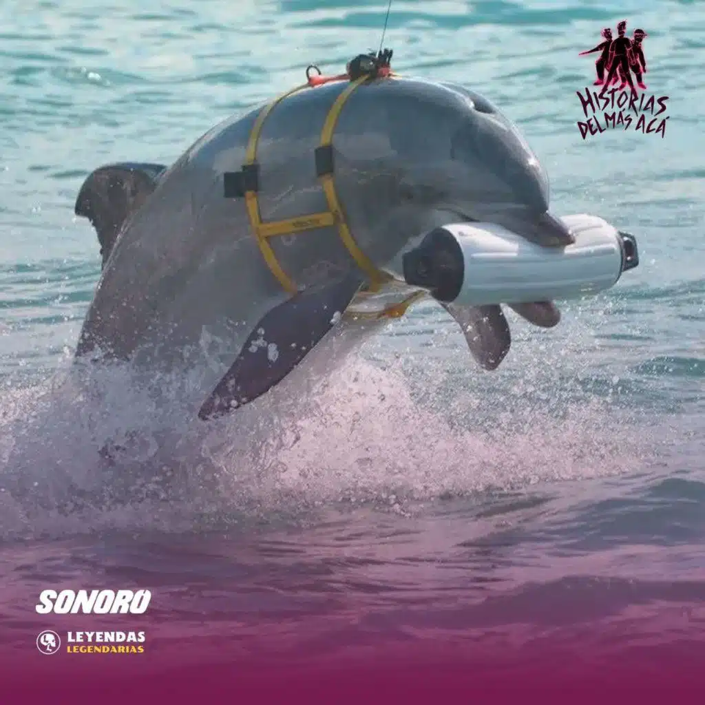 Delfines Kamikaze - Historias del Más Acá 272