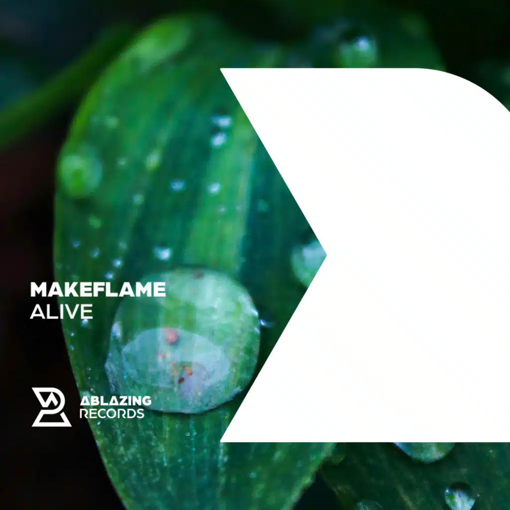 MakeFlame