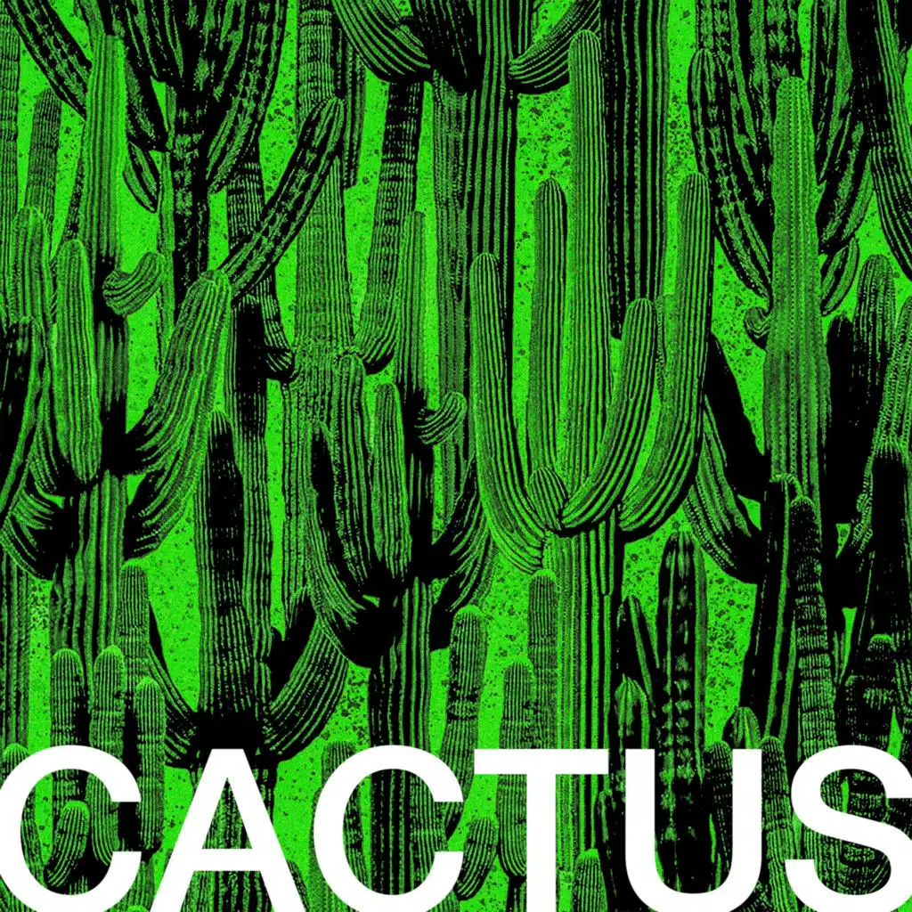 CACTUS