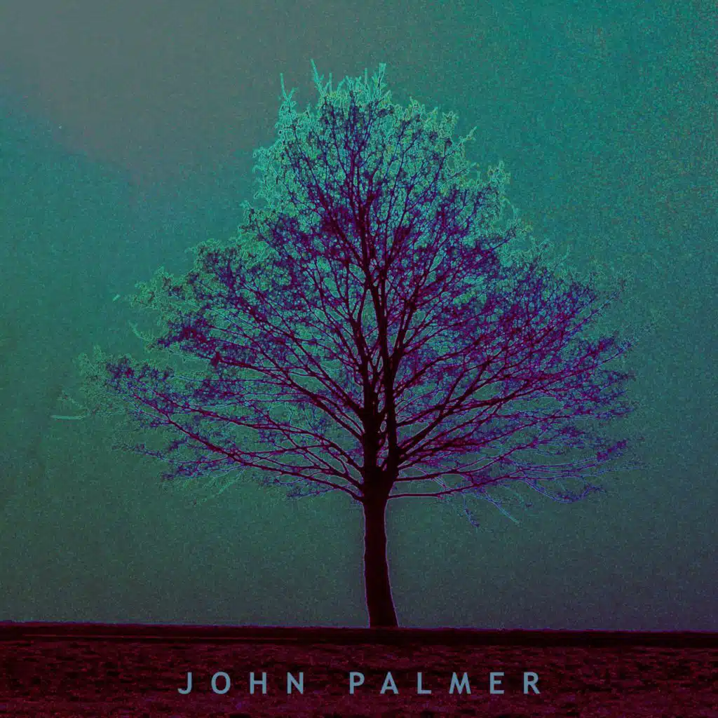 John Palmer