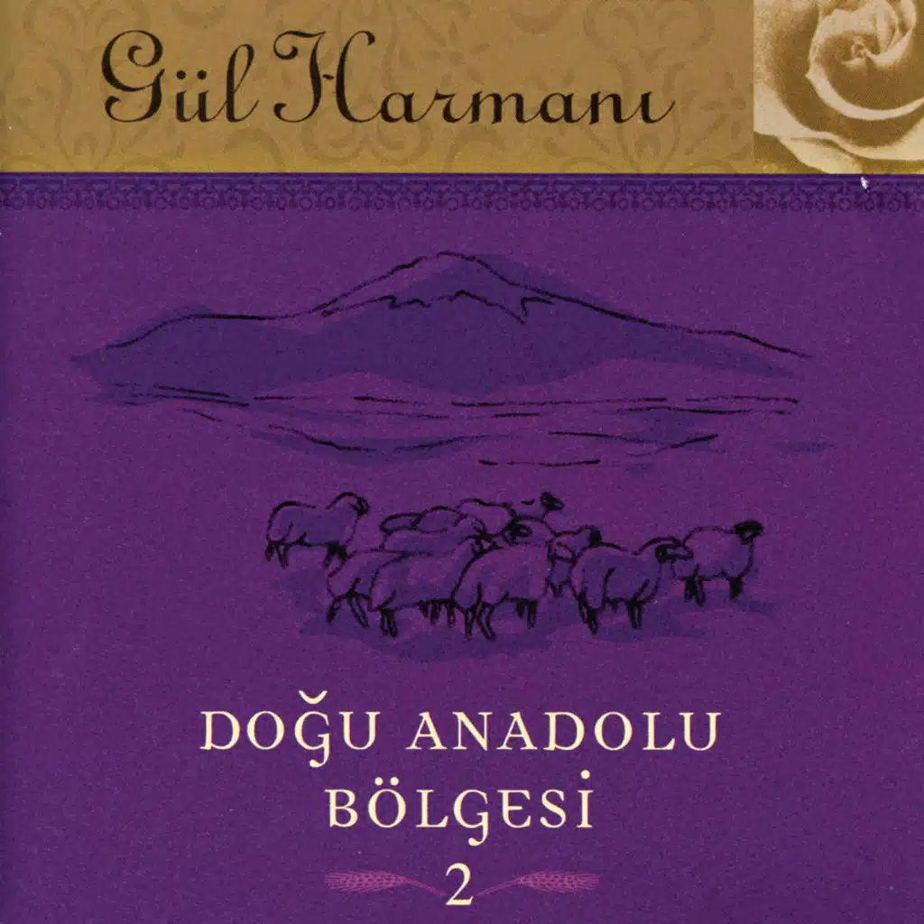 Gul Harmani Dogu Anadolu Bolgesi 2