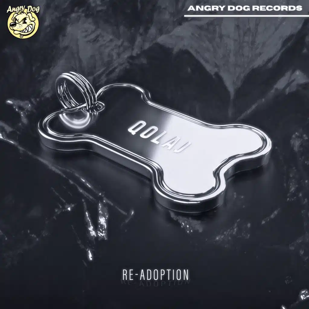 Re-Adoption