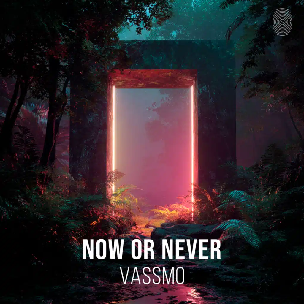 Vassmo