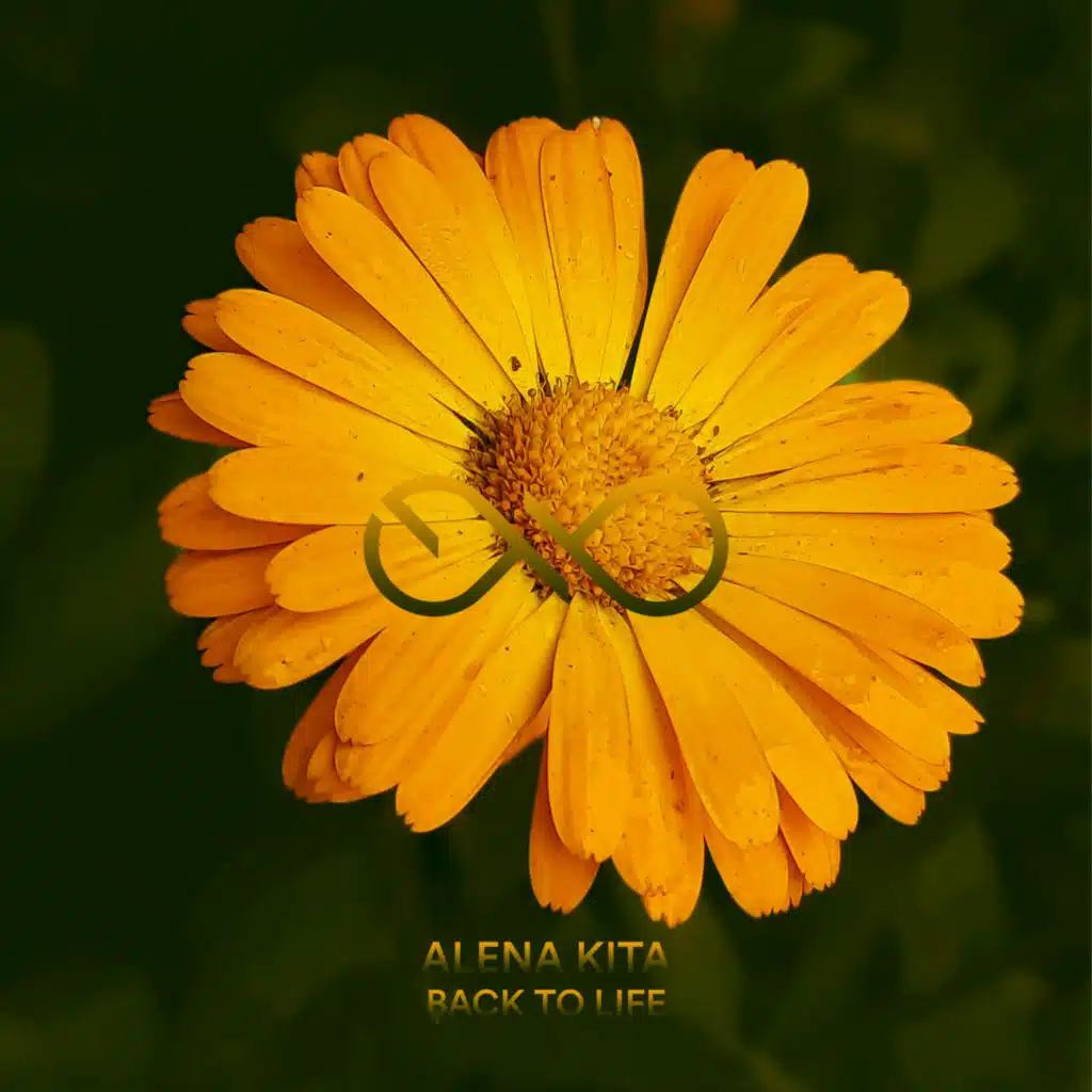 Back To Life