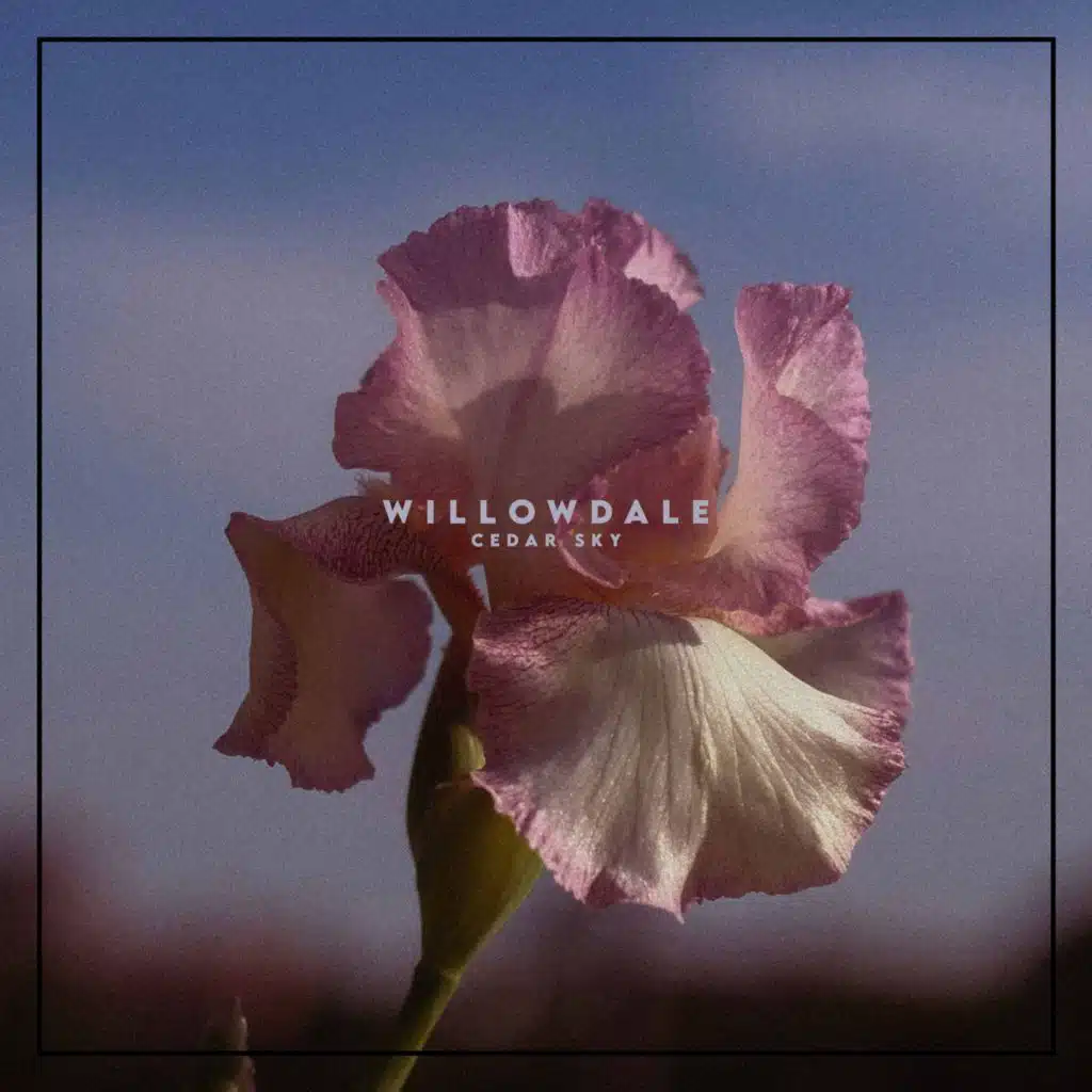 Willowdale