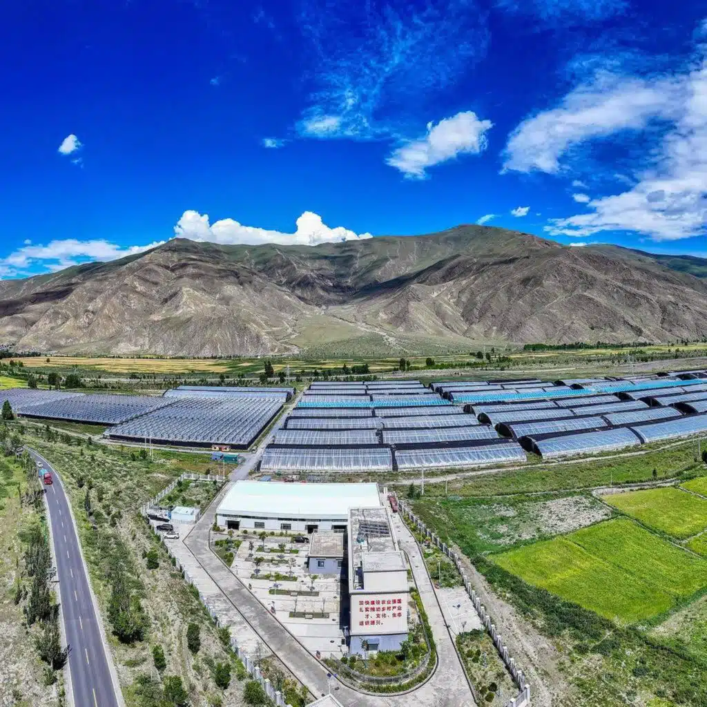 Xizang makes progress in infrastructure, ecology after 75 years of peaceful development