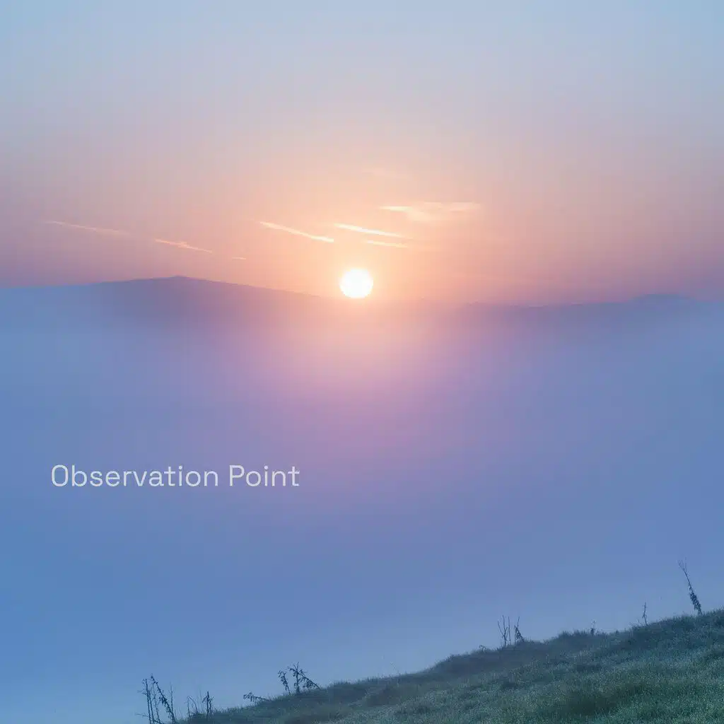 Observation Point