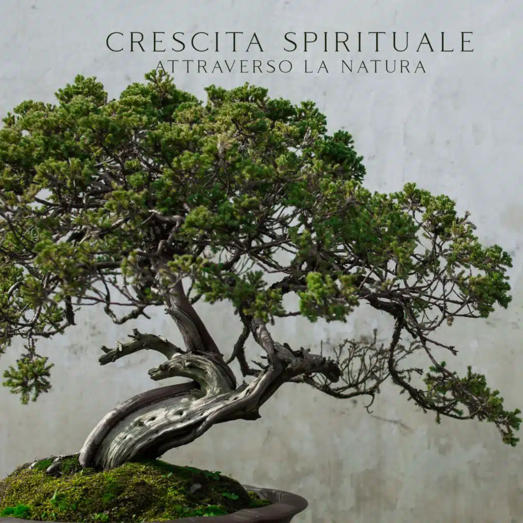 Crescita spirituale attraverso la Terra viva