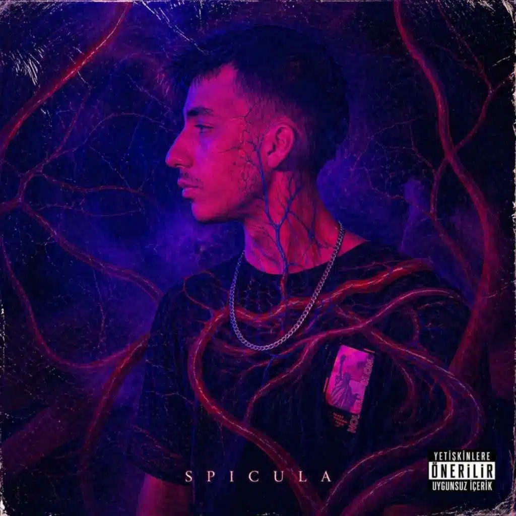 SPICULA