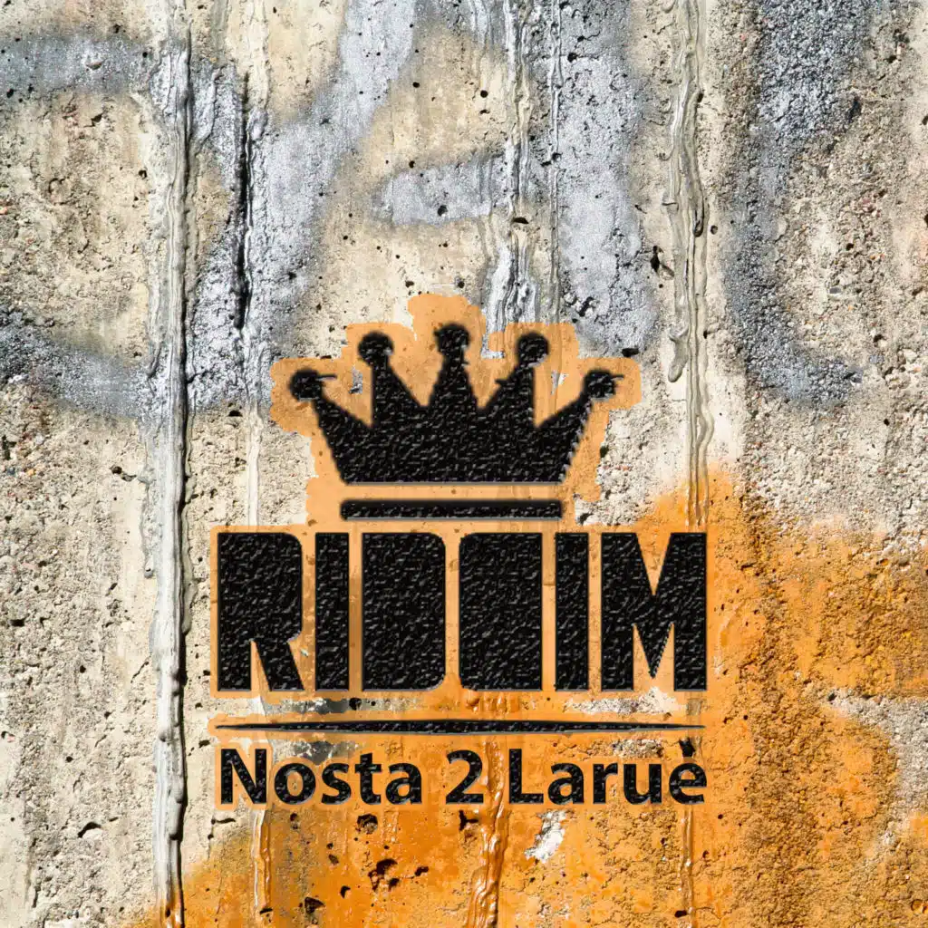 Riddim (Dancing in the Dark Remix) [feat. Mr Shammi]