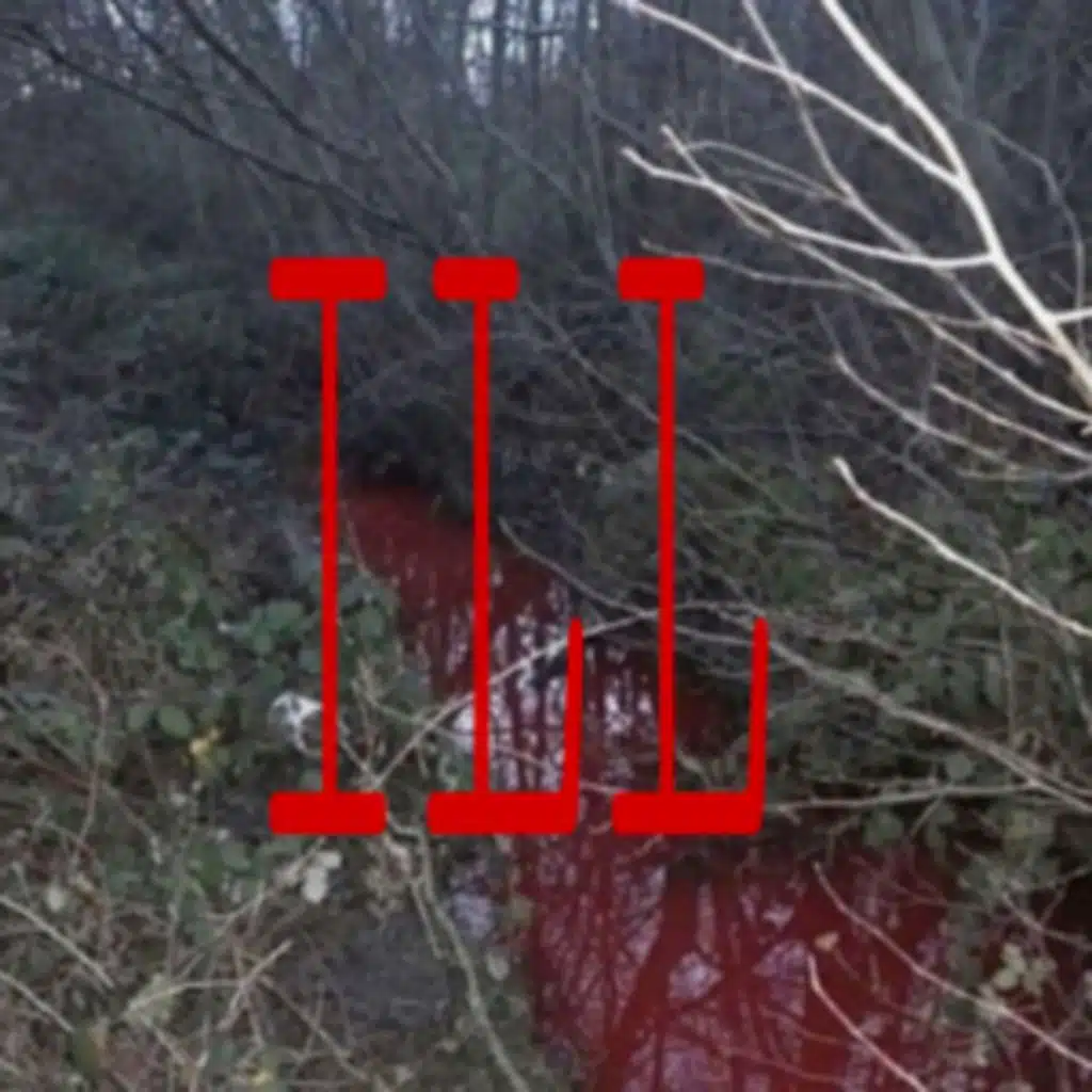 SløwlyFallingRain