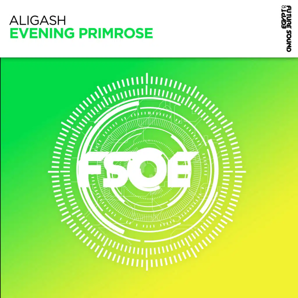 ALIGASH