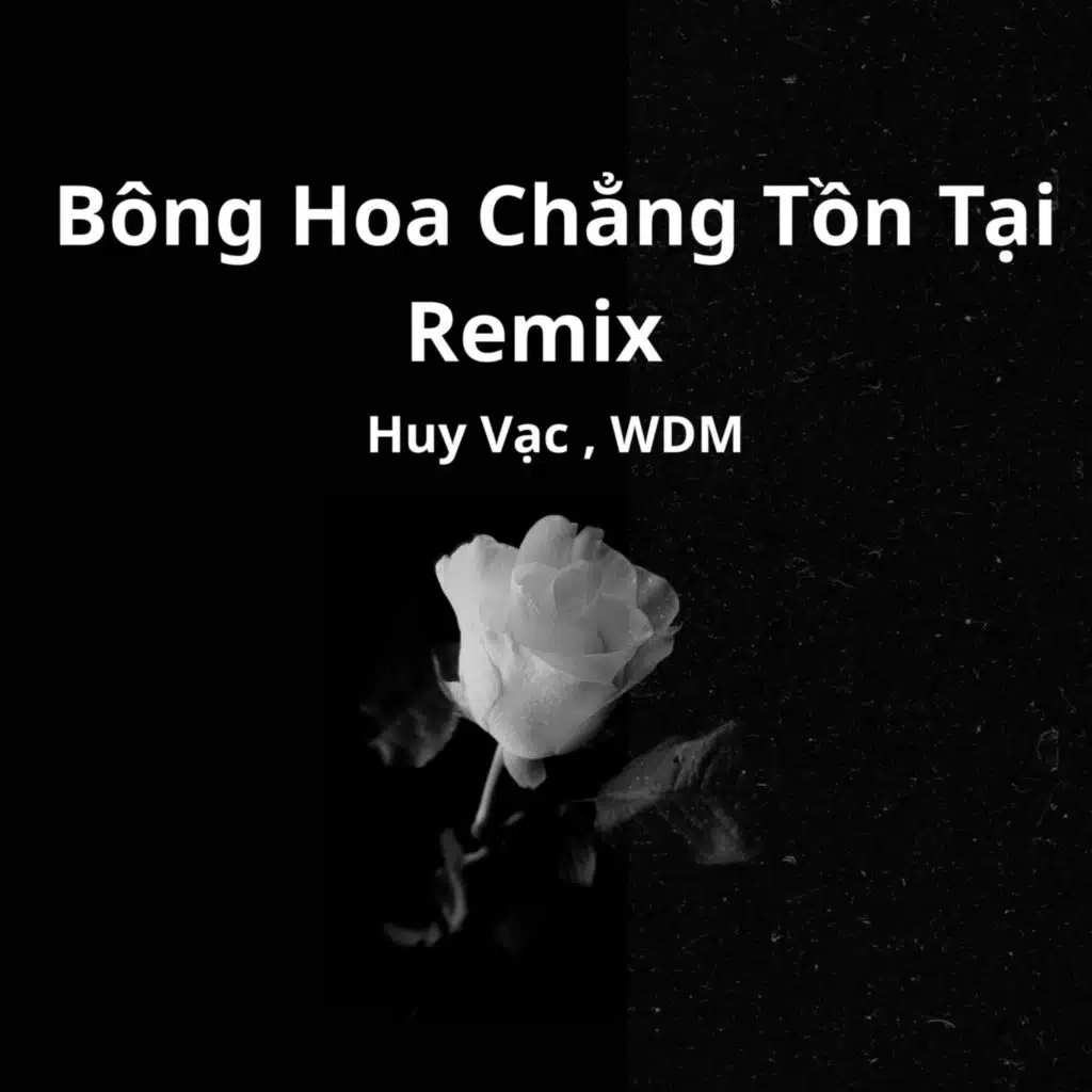 Bông Hoa Chẳng Tồn Tại (Remix)