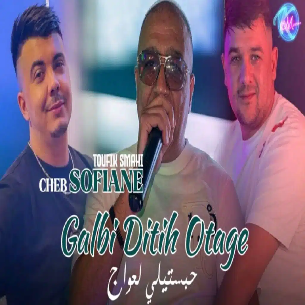 Cheb Sofiane 31