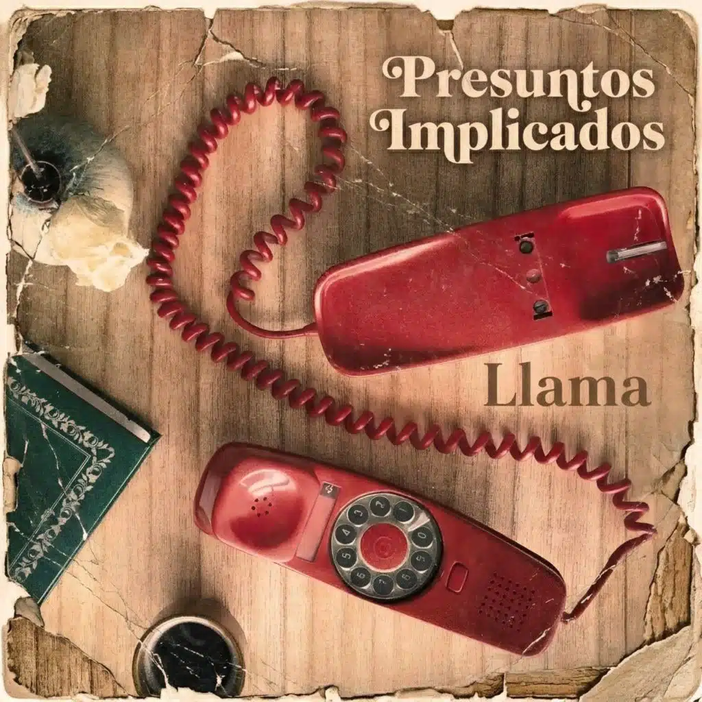 PRESUNTOS IMPLICADOS