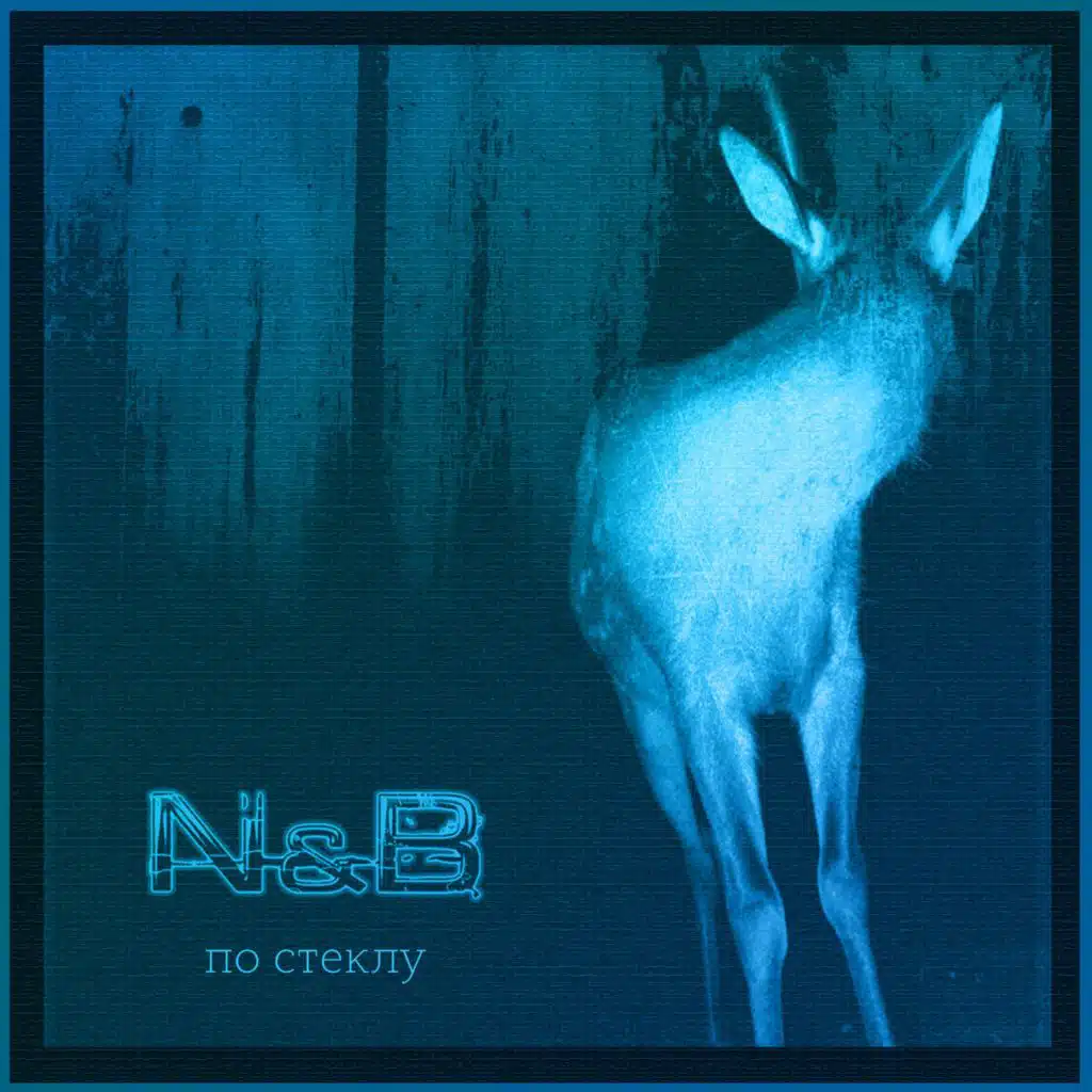 N & B