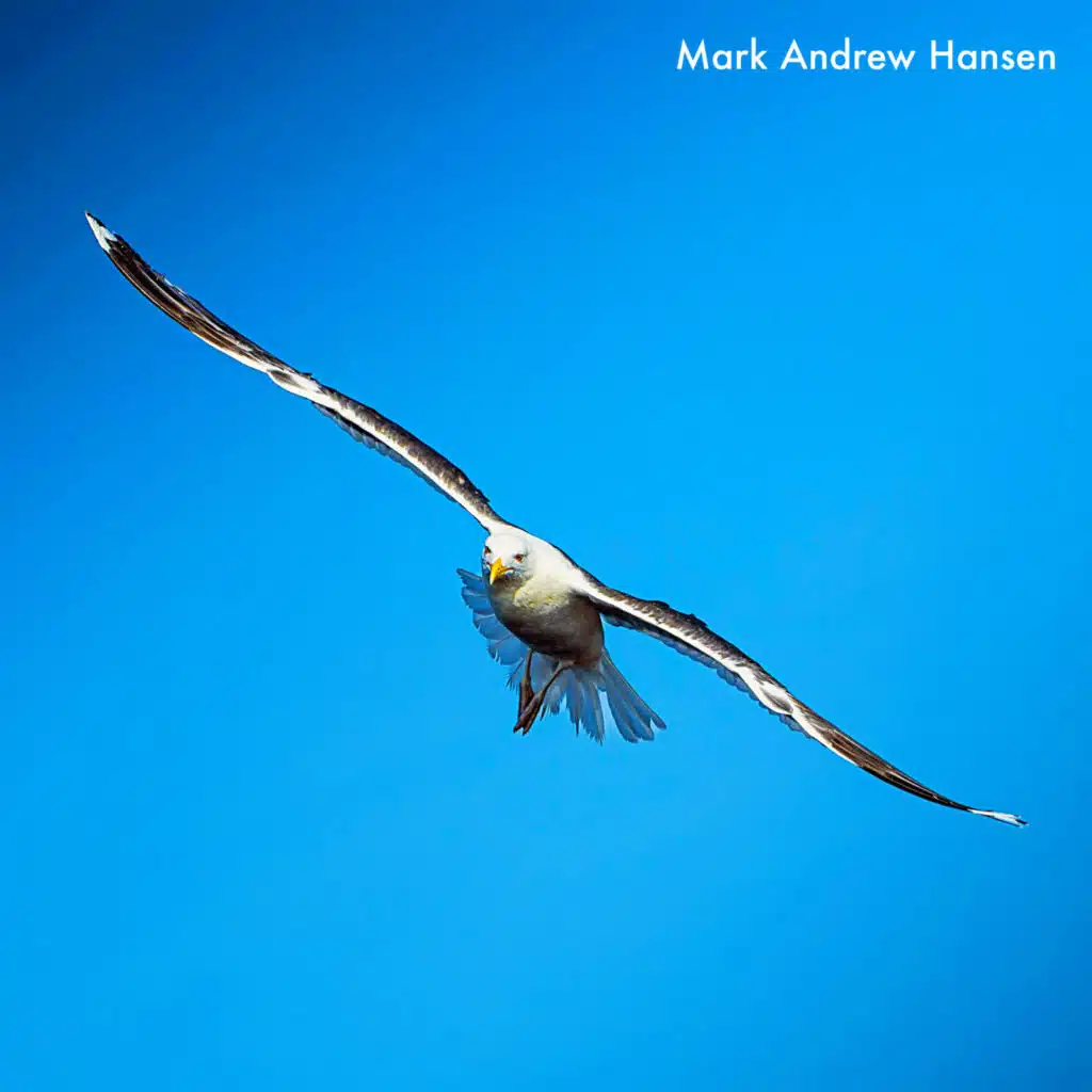 Mark Andrew Hansen