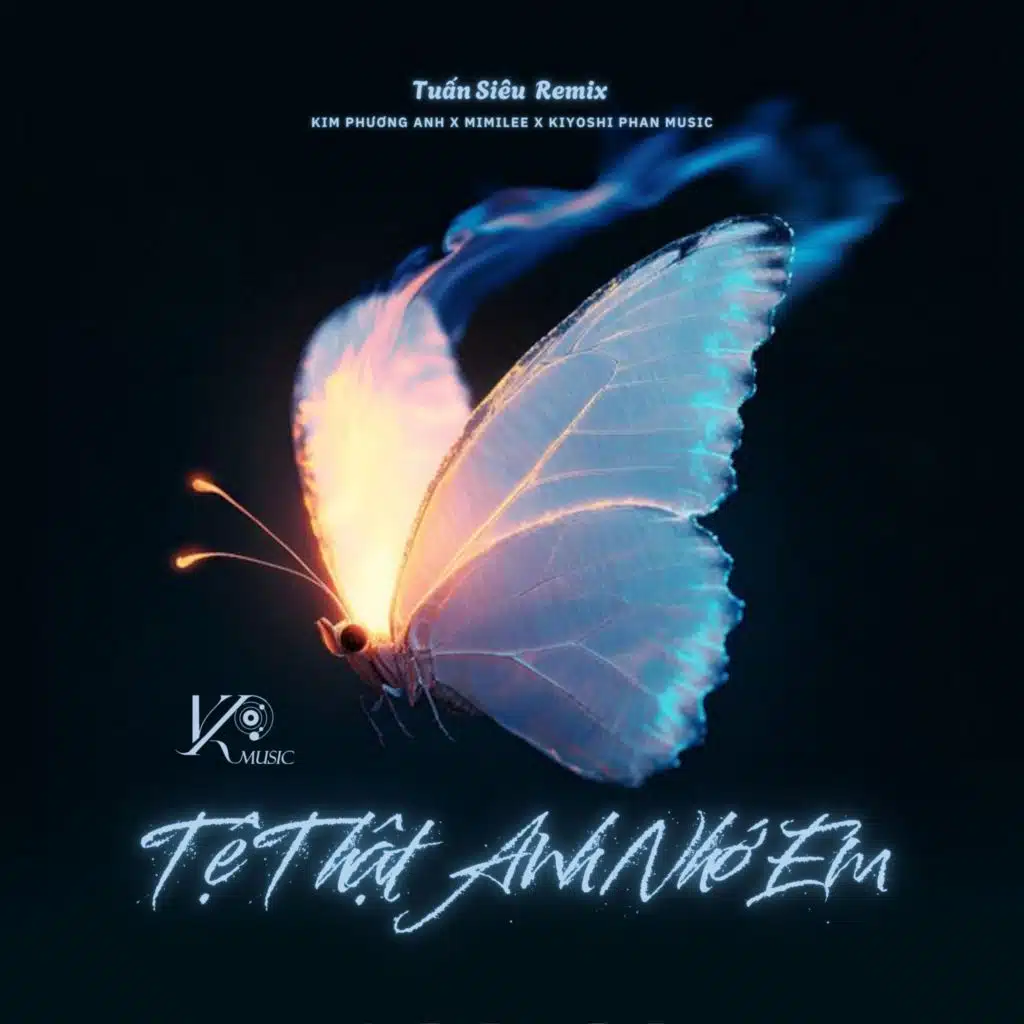 Tệ thật Anh Nhớ Em (Tuấn Siêu Remix)