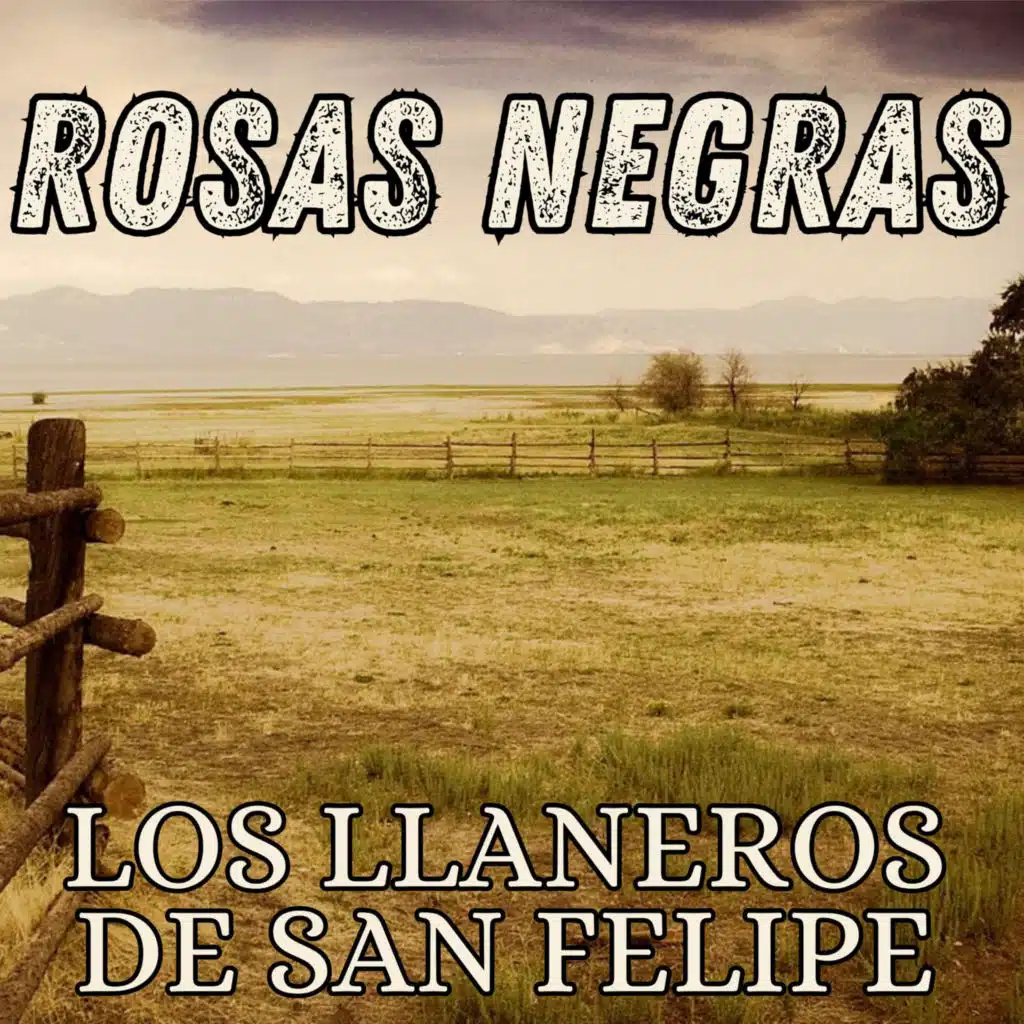 Los Llaneros De San Felipe