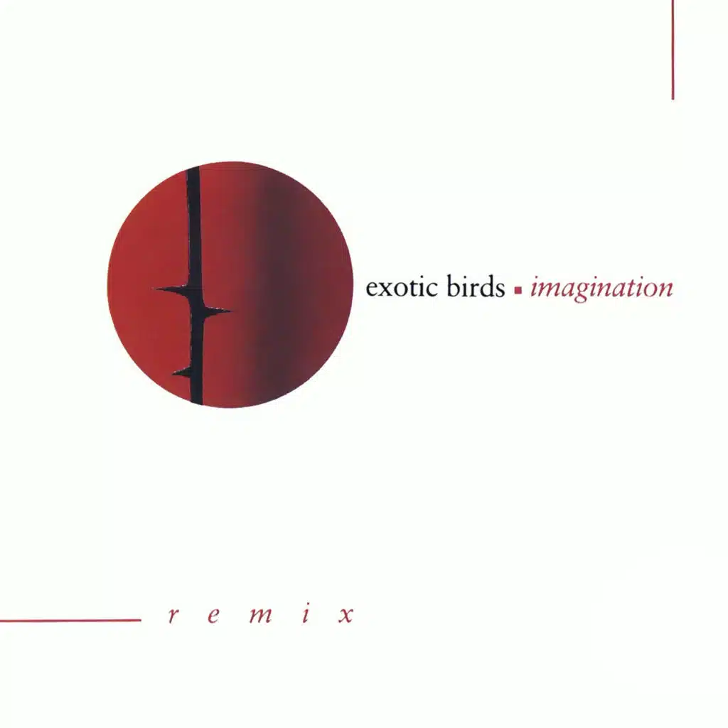 Imagination (Remix)