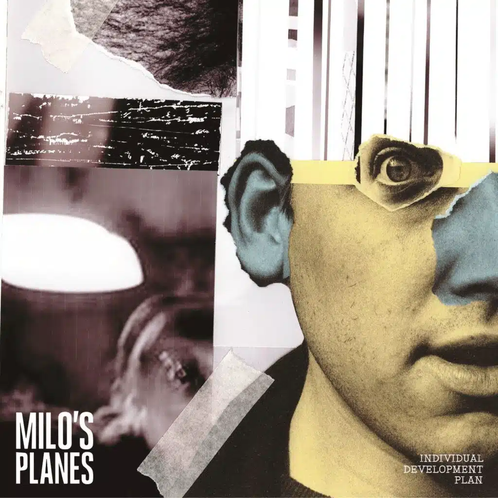 Individual Development Plan