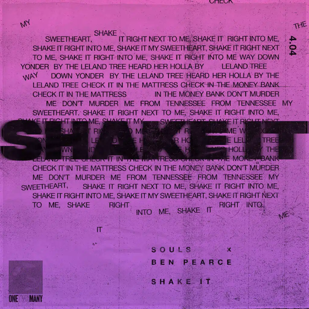 Shake It (Ben Pearce Remix)
