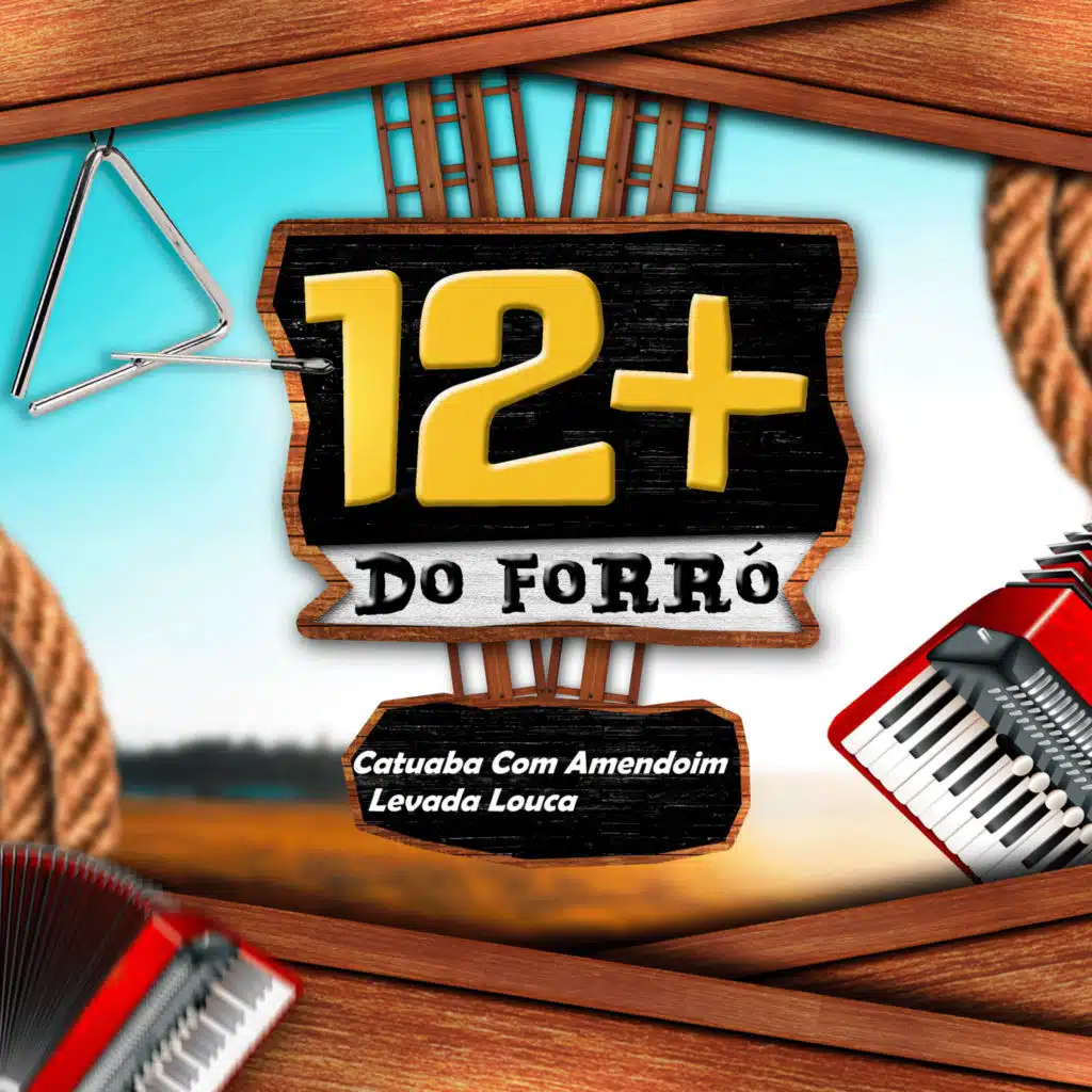 12+ Do Forró (Vol. 1)