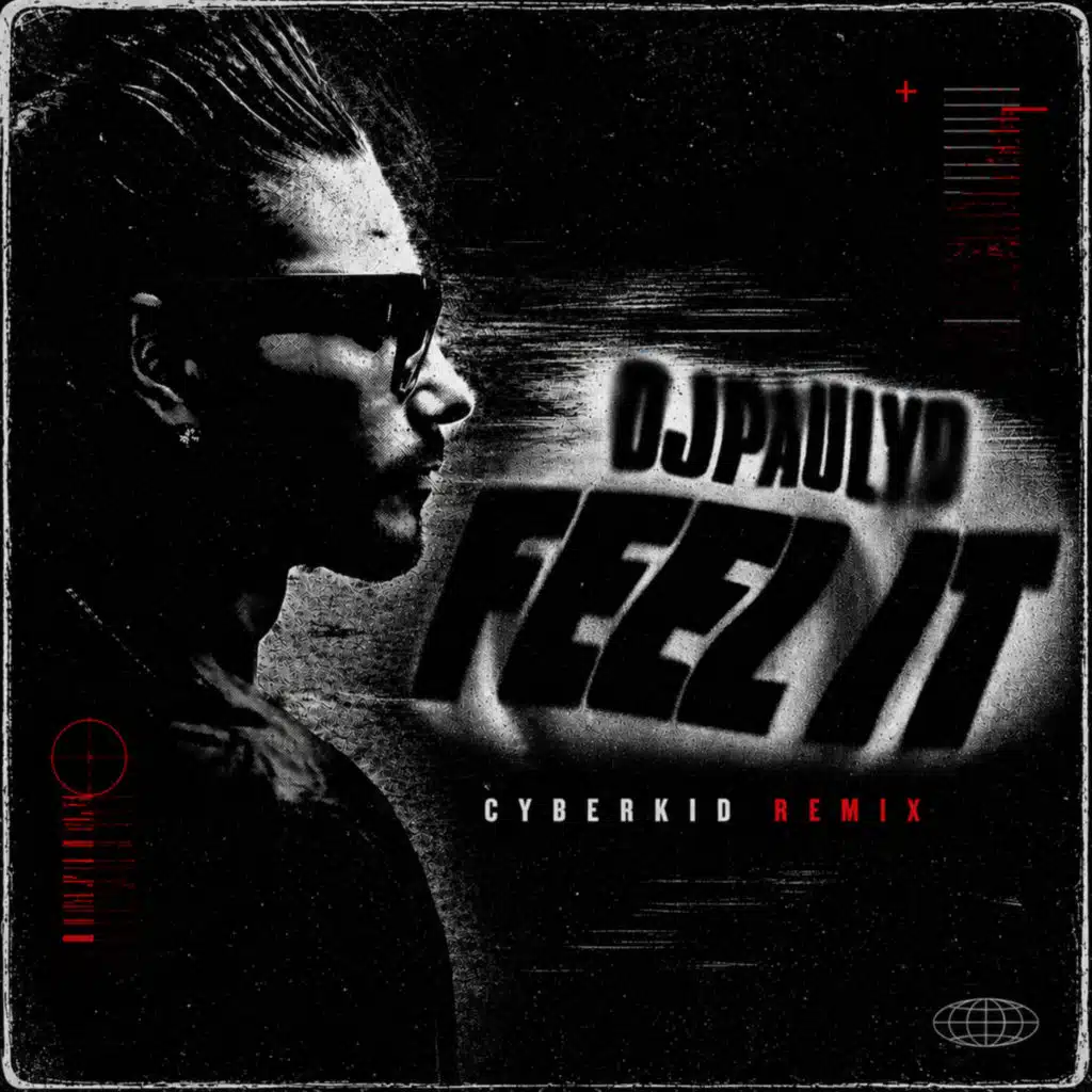DJ Pauly D