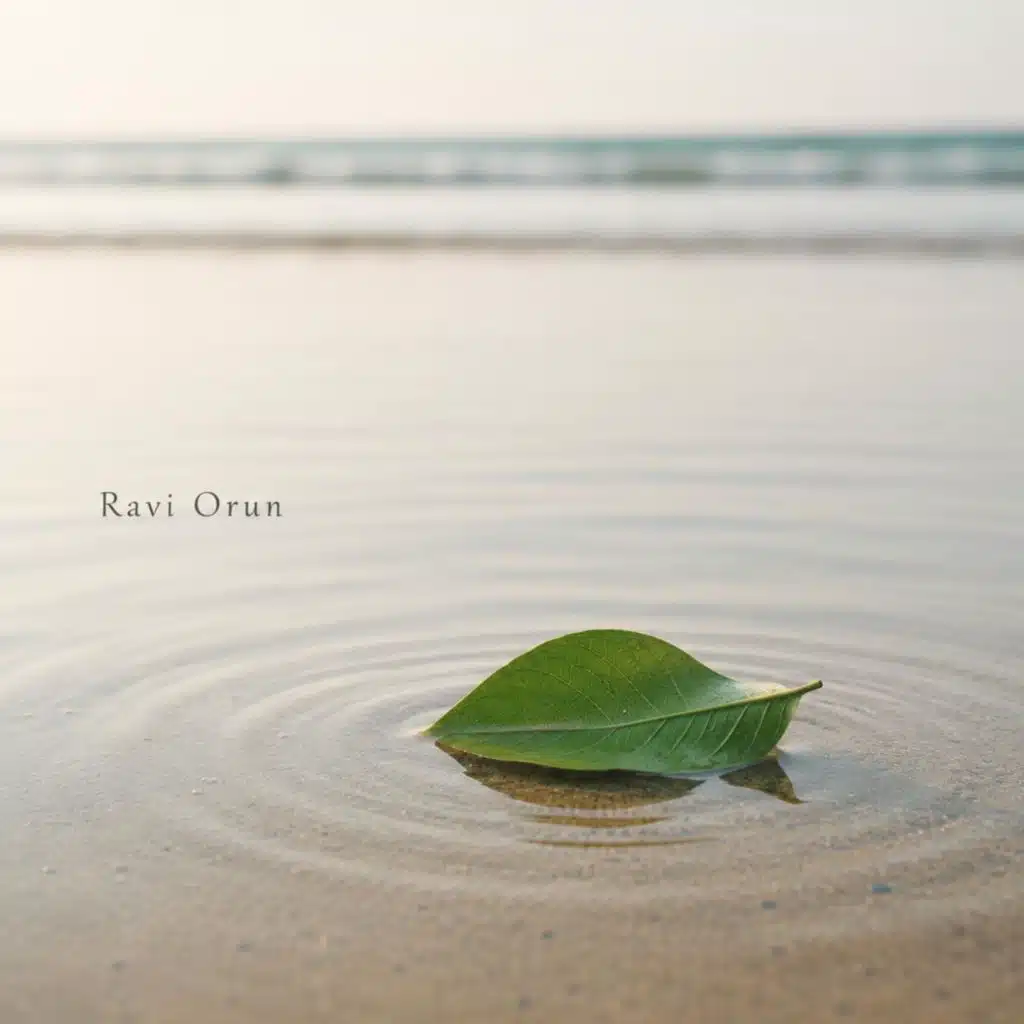Ravi Orun