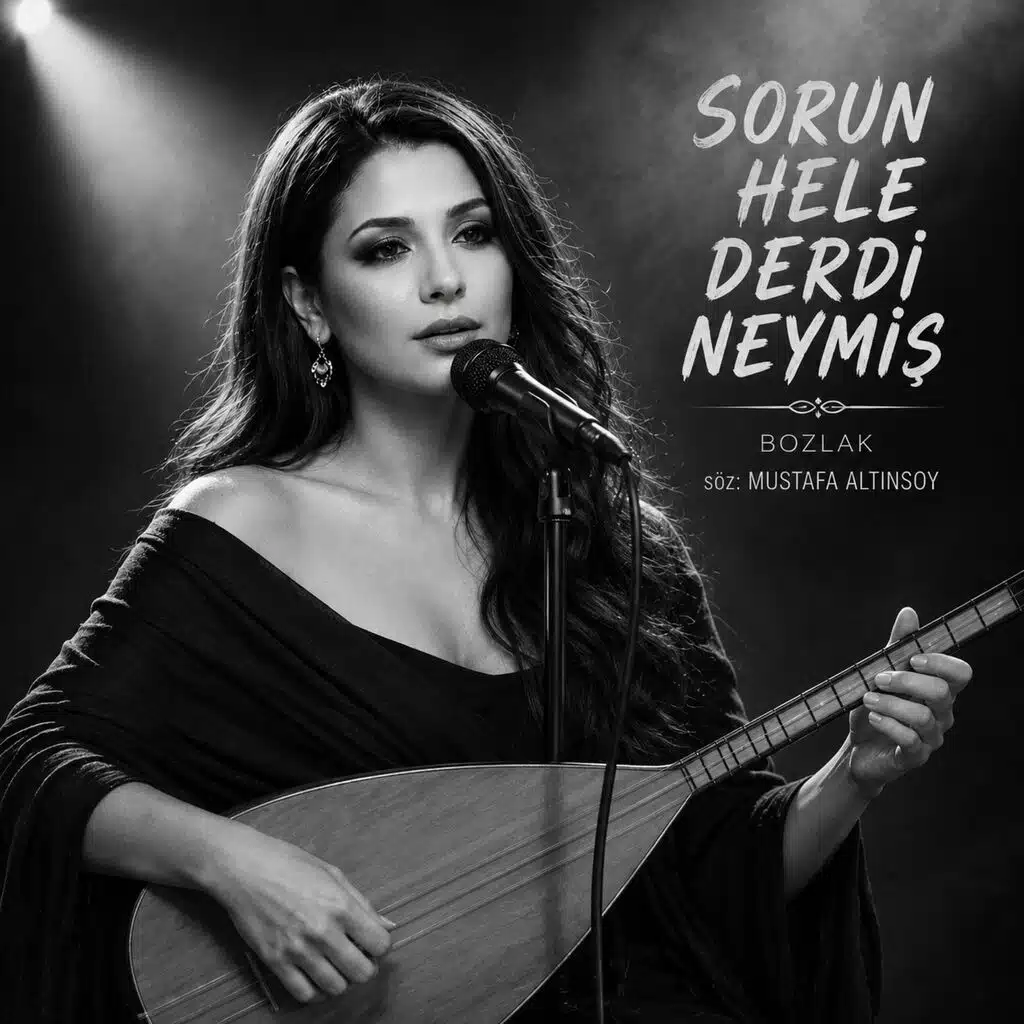 Sahipsiz Notalar