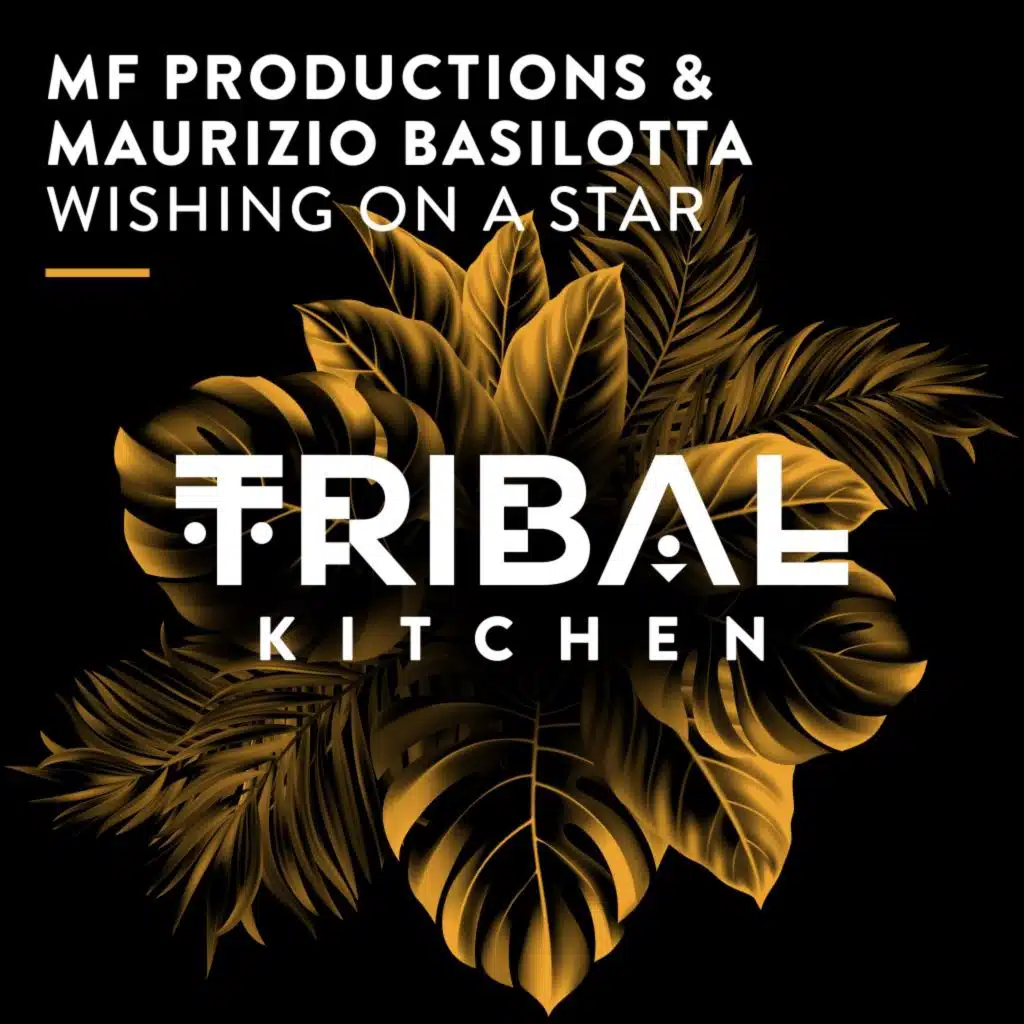 Maurizio Basilotta & MF Productions