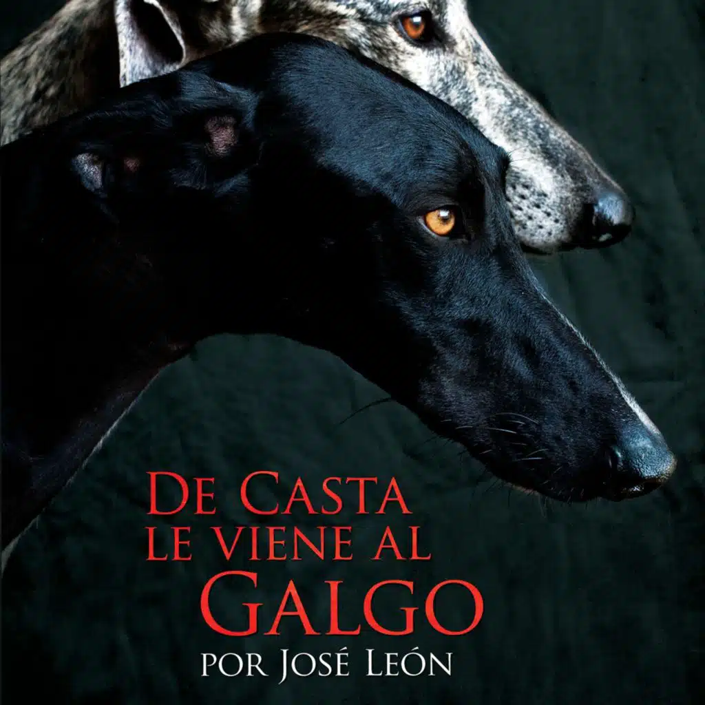 JOSÉ LEON