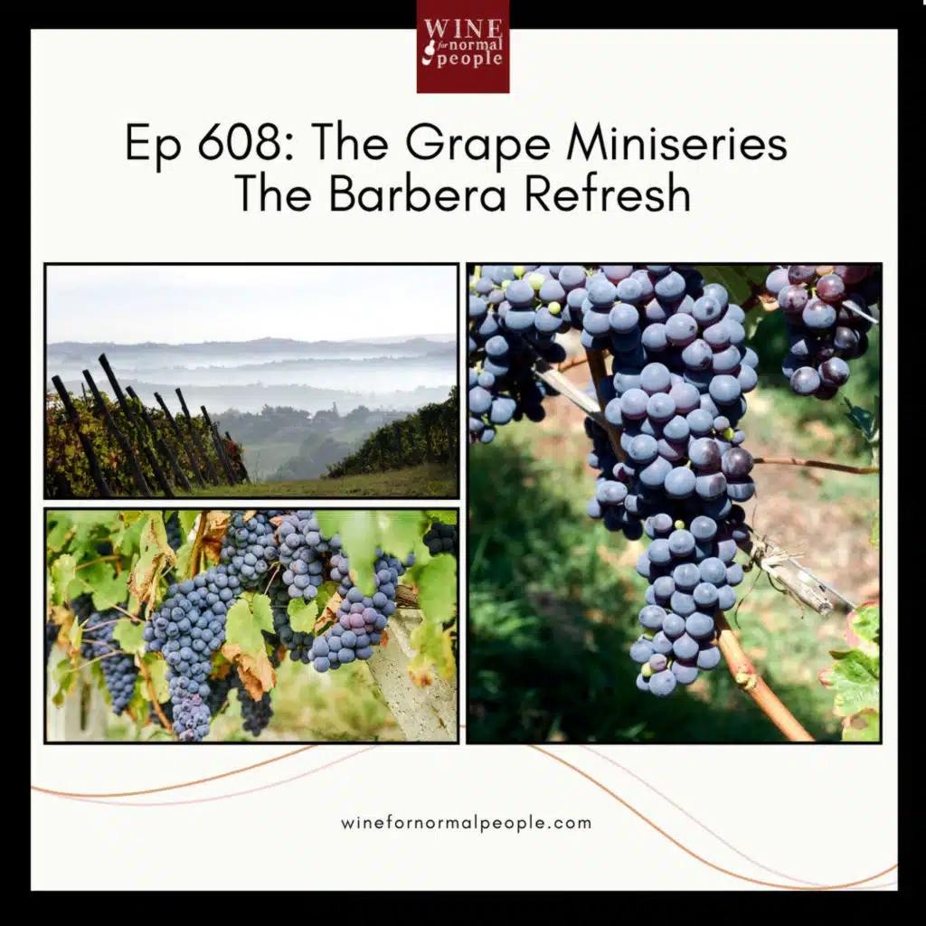 Ep 608: The Grape Miniseries -- The Barbera Refresh