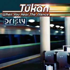 When you hear the silence (Original Mix)