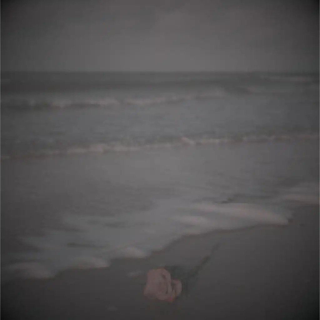 The Golden Coast, With You.