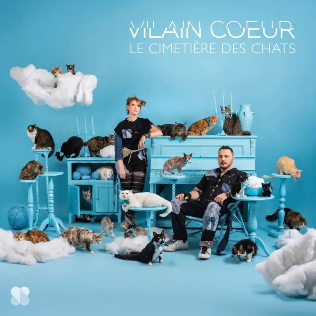 Le cimetière des chats