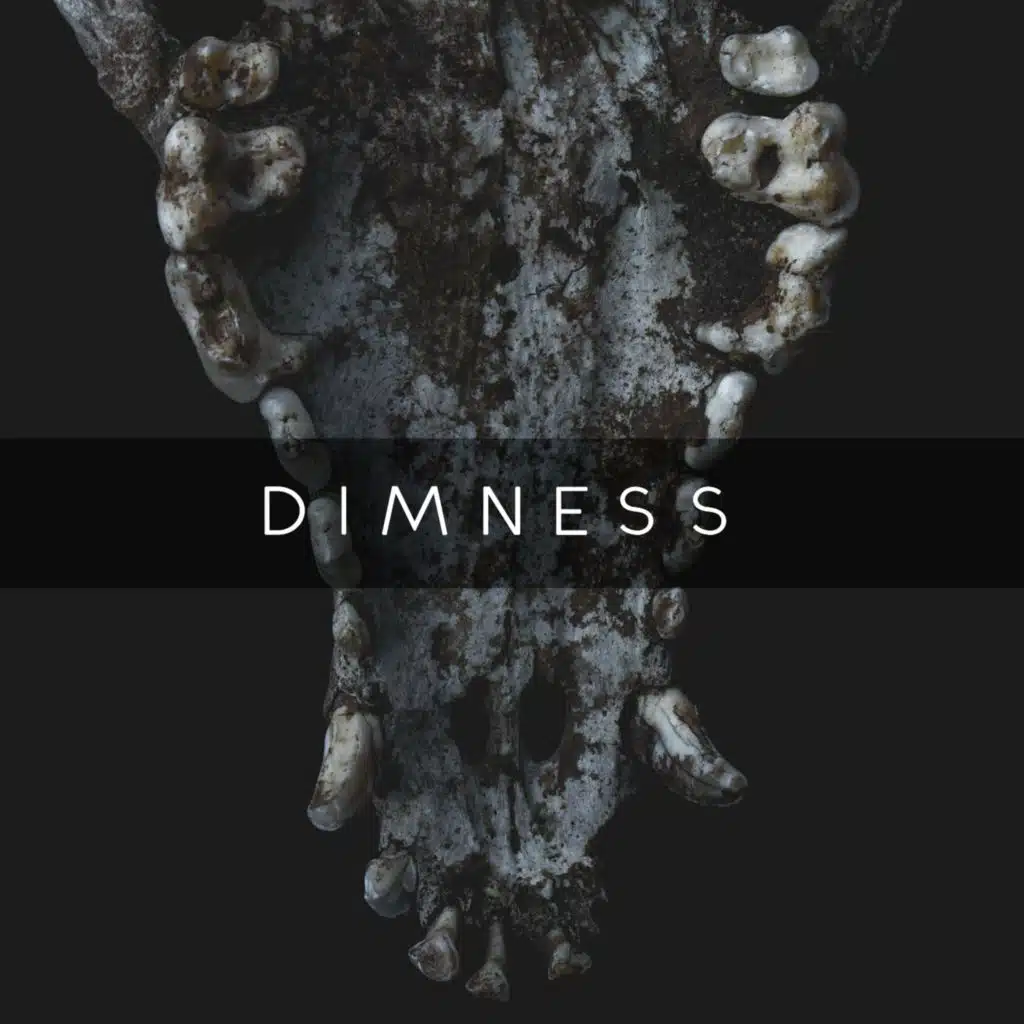 Dimness
